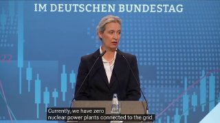 Лидер АдГ Алиса Вайдель призвала Германию закупать энергоресурсы в России