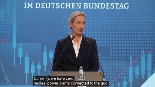 Алиса Вайдель сравнила политику Германии в отношении АЭС с деятельностью Мао Цзэдуна