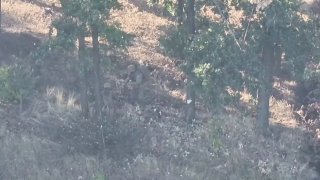 Ликвидация живой силы противника на одном из участков СВО