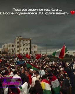 Иллюстрация 1