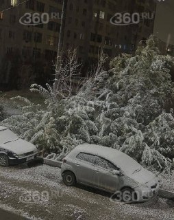 Первый снег выпал в Якутске