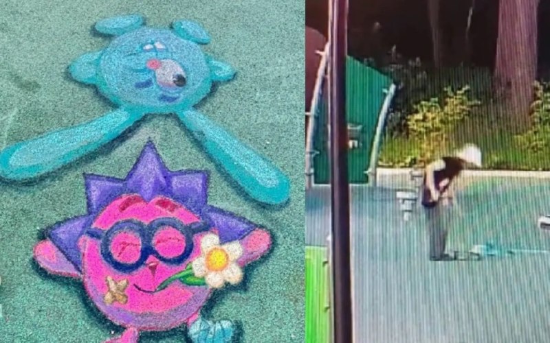 Глава Болохово извинилась перед девочкой, нарисовавшей смешариков