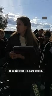 В Иркутской области из-за вспышки болезни массово уничтожают скот