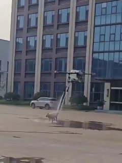 Китайский дрон устроил прохладный душ бездомной собаке во время презентации