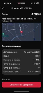 На заправке в Тамани водителям на пути в Крым отказывают в продаже бензина