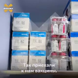 В Белоруссии набирают популярность вакциновые туры для владельцев собак из России