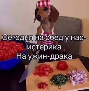 Каждая третья россиянка специально портит еду партнера во время ссоры