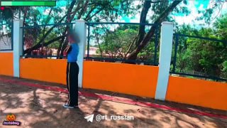 Рой пчел атаковал девочку возле школы в Бразилии