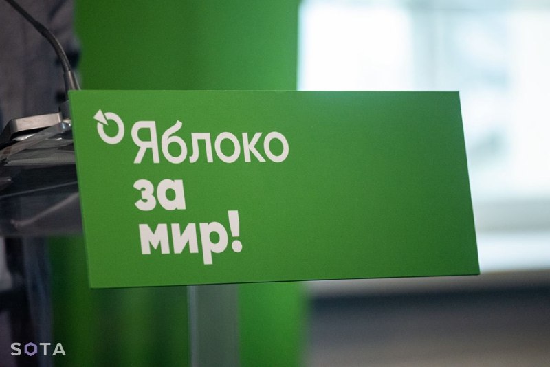 Партия «Яблоко» проходит в городскую Думу Нижнего Новгорода