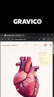 Найден интерактивный 3D-атлас анатомии для изучения человеческого тела