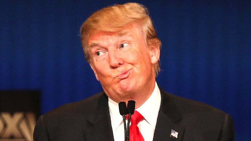 Анализ деятельности «Совета мира» Трампа: почему планы по Газе остаются на бумаге