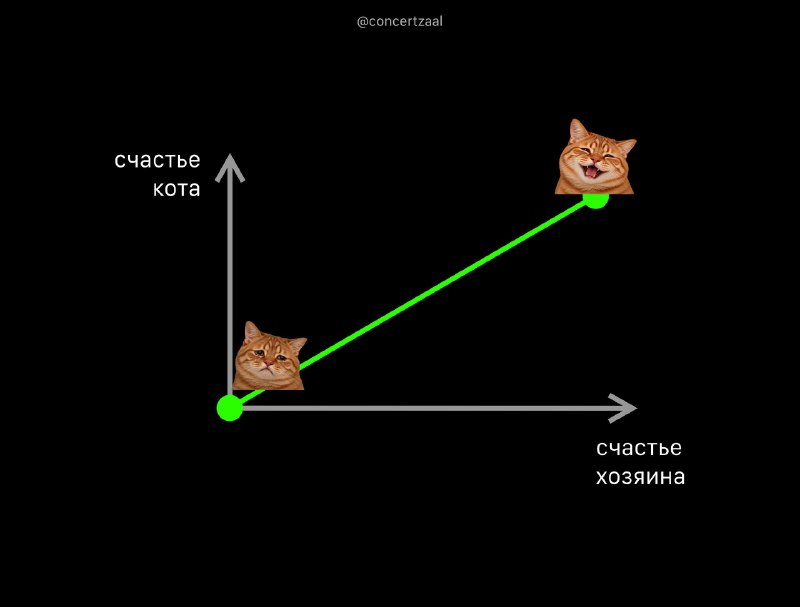 Коты счастливее, когда счастливы хозяева