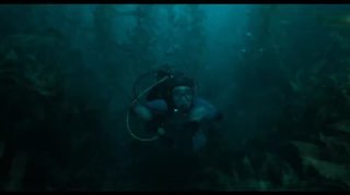 Вышел survival-триллер «Кит: во тьме глубин» о выживании дайвера внутри кашалота