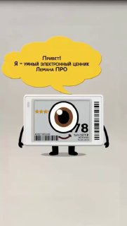 «Лемана ПРО» внедряет электронные ценники с кешбэком и рейтингом в магазинах Москвы и Подмосковья