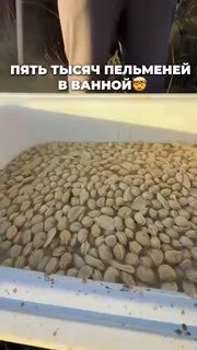 В Питере сварили ванну из 5 тысяч пельменей