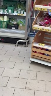 В Подмосковье посетители заметили крысу, ворующую кусочки зелени в магазине