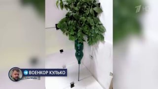 ВСУ заминировали дорогу на Алешки перед началом локального перемирия в Херсонской области