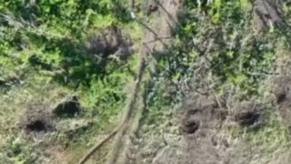 Операторы БПЛА 35-й армии уничтожили живую силу ВСУ на Запорожском направлении