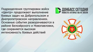 Бои у Белозёрского и Новопавловки: продвижение «Центра» и подготовка эвакуации в Доброполье