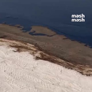 В ОАЭ закрылись десятки пляжей из-за разлива мазута