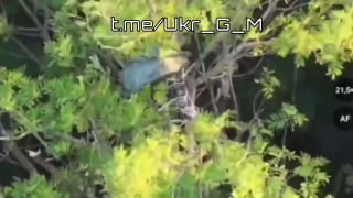 Связка артиллерии и FPV Южной группировки войск в Славянско-Краматорской агломерации