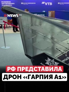 Представлен дрон-камикадзе «Гарпия-А1» с дальностью полета до 1000 км