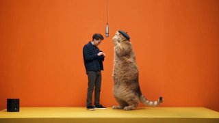 Французская Mistral представила мощную ИИ-модель Le Chonk с открытым кодом