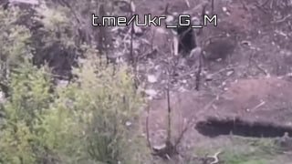 Потери подразделений ВСУ на Славянском направлении от ударов FPV-дронов