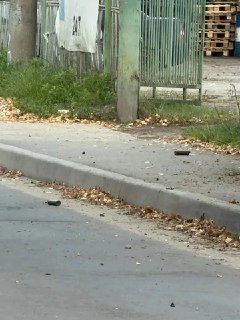 Иллюстрация 4