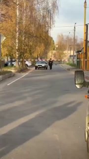Киев заминировал с воздуха 20 школ и садов в Брянске