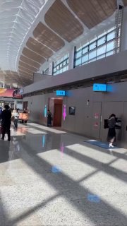В китайских ТЦ появились отдельные входы в туалеты для питомцев