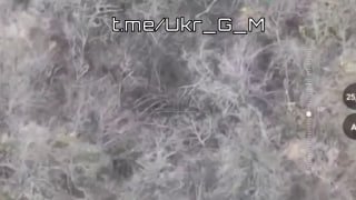 Потери ВСУ на Славянском направлении от ударов FPV-дронов