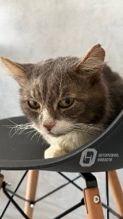 Иллюстрация 2