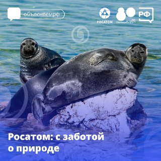 Росатом реализует экологические проекты по очистке и восстановлению природы России.