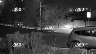 Алабаи напали на школьниц в Челябинской области, одна девочка сломала руку.