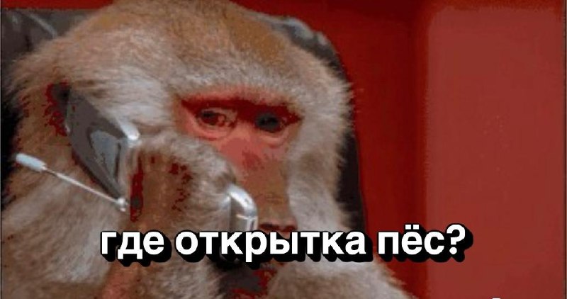 Новая романтическая тенденция: пользователи отправляют небольшие суммы денег через онлайн-открытки Love is.