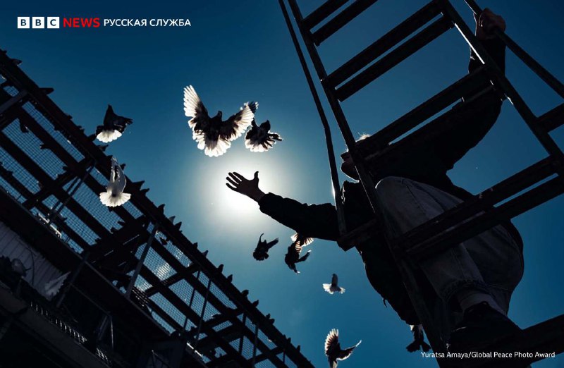 Фотография из Чувашии стала финалистом международного конкурса Global Peace Photo Award.
