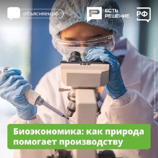В России разрабатывают личинки моли, питающиеся пластиком, в рамках нового нацпроекта.