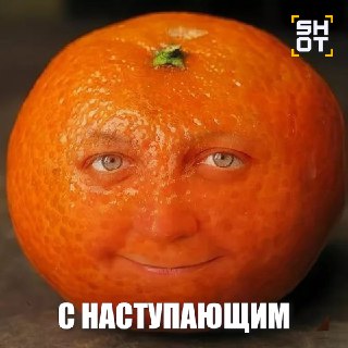 Цены на мандарины в России могут вырасти на 20% к Новому году.