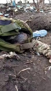 Украинские военные несут большие потери на линии фронта.
