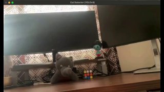 Разработан алгоритм, автоматически включающий пылесос, когда кот запрыгивает на стол.