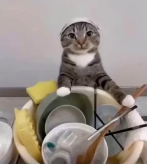 Сегодня отмечается День благодарности мужчине, который моет посуду.