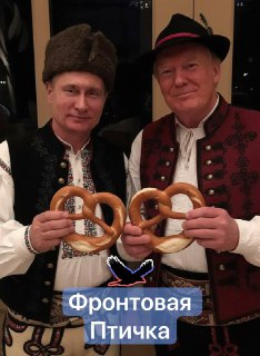 Путин и Трамп встретятся в Венгрии: как будет обеспечена безопасность полета российского президента?