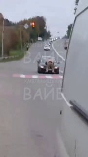 В Хмельницком военнообязанный пытался остановить автомобиль и был отброшен.
