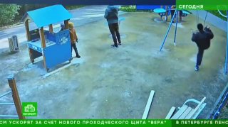 ИИ в Санкт-Петербурге получит возможность вызывать Росгвардию.