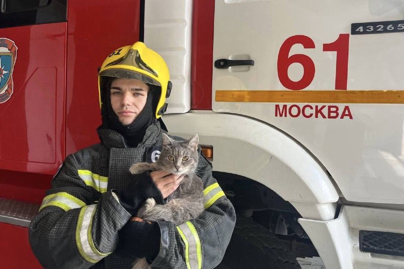 В зеленоградской пожарной части кот стал талисманом команды.