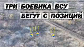 Штурмовые группы атаковали укрепления 74-й бригады ВСУ в Днепропетровской области.