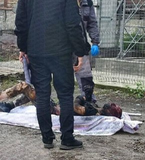 Военнообязанный погиб, пытаясь скрыться от ТЦК в трансформаторной будке.