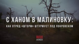 Российские войска продолжают штурм под Покровском, закрепляясь в населенных пунктах и перехватив логистическую артерию.