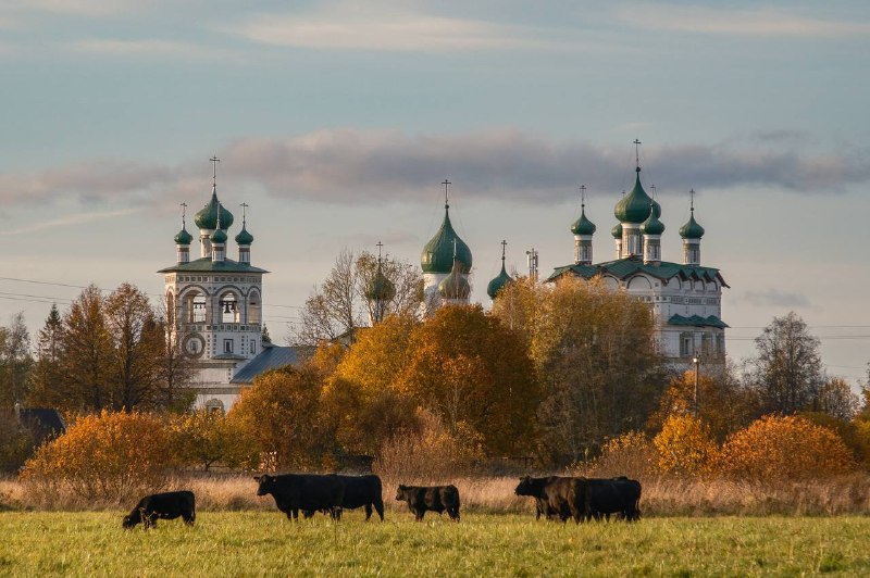 Иллюстрация 1